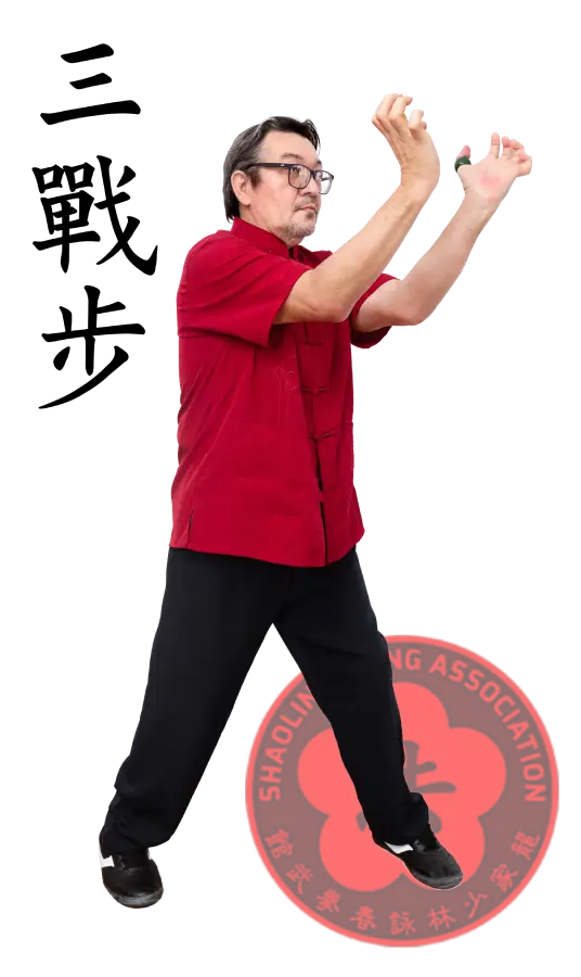 Alex Magnos - Fujian Wing Chun