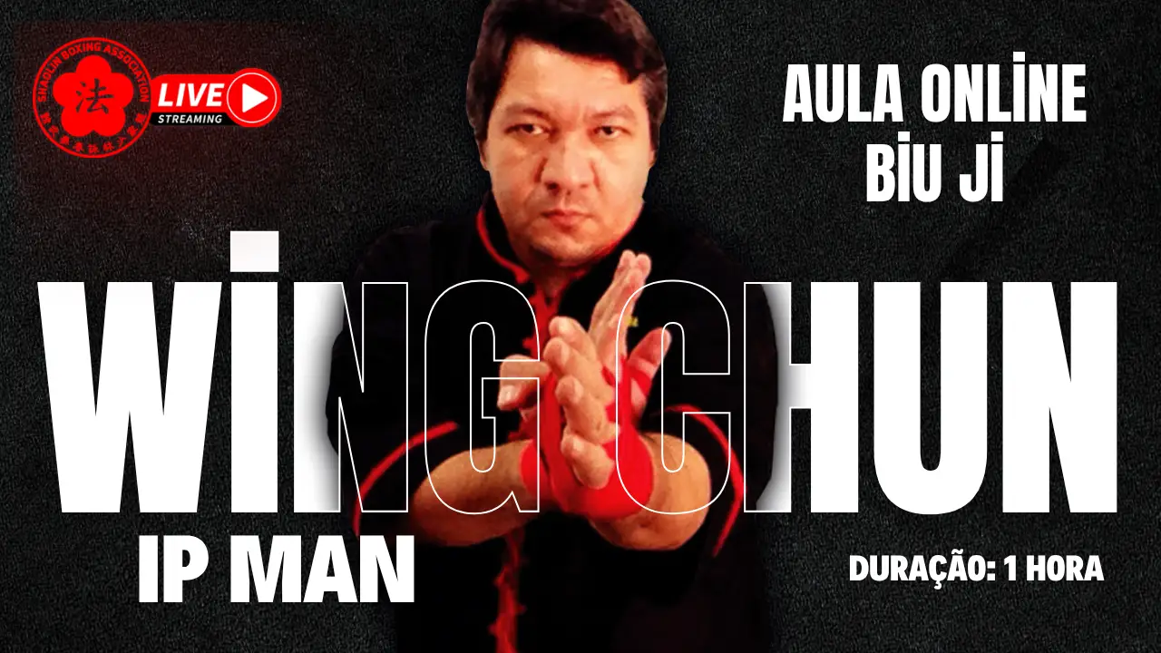 SBA Aula Online Ip Man BJ