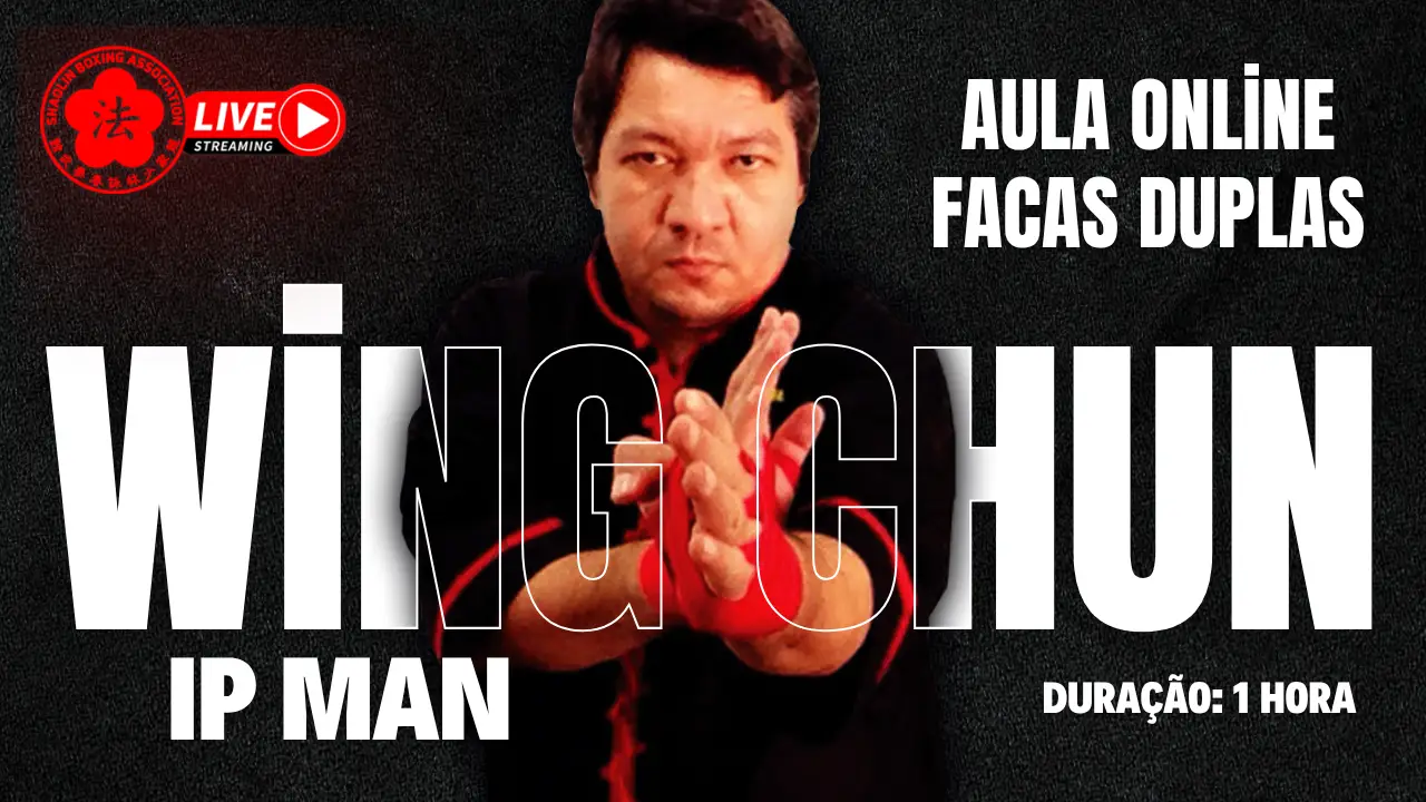 SBA Aula Online Ip Man BJD
