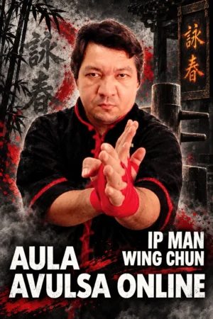 Aula Avulsa Online Ip Man Básica