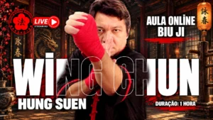 Aula Coletiva Online - Hung Suen Biu Ji