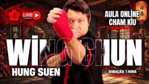 Aula Coletiva Online - Hung Suen Cham Kiu