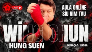 Aula Coletiva Online - Hung Suen Siu Nim Tau