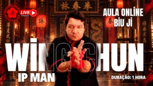 Aula Coletiva Online - Ip Man Biu Ji