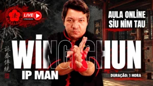 Aula Coletiva Online - Ip Man Siu Nim Tau